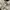 Nike Outerwear Kids white black photo 7