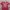 Evisu Vintage Y2K T-shirt Pria Red