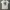 Sportswear Jersey Pria cream photo 2