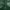 ASK Enquired Outerwear Kids green photo 4