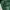 ASK Enquired Outerwear Kids green photo 5