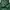 ASK Enquired Outerwear Kids green photo 6