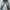 Wrangler Casual Jeans Pria gray photo 1