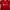 Nike Sportswear Jersey Pria red photo 1