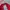 Adidas Streetwear Sportswear Sweatshirt Pria red photo 4