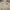 Adidas Sportswear Jersey Pria green white photo 2