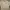 Adidas Sportswear Jersey Pria green white photo 3