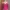 Y2K Cami Top Wanita Multicolor Pink