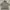 The North Face Varsity jacket Pria gray photo 4