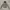 The North Face Varsity jacket Pria gray photo 1