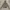 The North Face Varsity jacket Pria gray photo 2