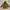 Outerwear Kids Brown