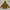 Outerwear Kids Brown