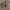 Outerwear Kids brown photo 6