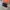 VANS Casual Sneakers Pria black photo 1