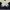 Dickies Outerwear Kids white navy photo 6