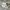 Nike Casual Sneakers Pria white black photo 1