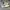 Nike Casual Sneakers Pria white black photo 2