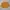 BabyGap Casual Jersey Kids Yellow