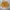 babyGap Casual Jersey Kids yellow photo 1