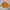 BabyGap Casual Jersey Kids Yellow