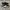 Nike Casual Sneakers Pria white black photo 2