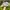 Eider Sportswear Casual Hat Pria white gray photo 3