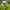 Eider Sportswear Casual Hat Pria white gray photo 1