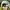 Eider Sportswear Casual Hat Pria white gray photo 4