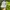 Eider Sportswear Casual Hat Pria white gray photo 2
