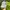 Eider Sportswear Casual Hat Pria White Gray