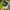 Eider Sportswear Casual Hat Pria white gray photo 5