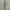 Lonsdale Windbreaker Pria green white photo 4