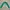 Lonsdale Windbreaker Pria green white photo 2