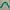 Lonsdale Windbreaker Pria Green White