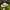 Vintage Streetwear Hat Pria Multicolor