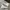 Converse Casual Sneakers Pria White