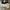 Converse Casual Sneakers Pria white photo 2