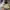 Converse Casual Sneakers Pria white photo 3