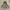 Outerwear Kids brown photo 1