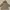 Outerwear Kids brown photo 4
