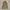 Outerwear Kids brown photo 3