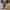Converse Casual Sneakers Pria multicolor photo 5
