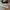 Converse Casual Sneakers Pria multicolor photo 2