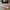 Converse Casual Sneakers Pria Multicolor