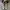 Converse Casual Sneakers Pria multicolor photo 4