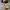 Converse Casual Sneakers Pria multicolor photo 3