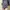 Japanese brand Vintage Crop top Wanita gray photo 3