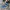 Converse Casual Sneakers Pria white blue photo 1