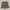 Adidas Sportswear Casual Short Pria tan photo 1